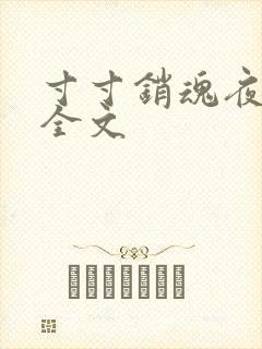 寸寸销魂夜春光全文