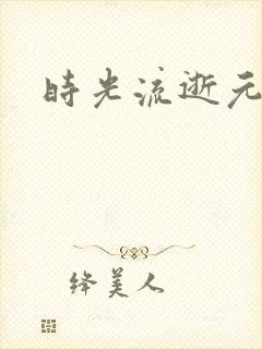时光流逝元龙