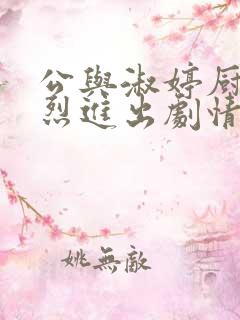 公与淑婷厨房猛烈进出剧情介绍