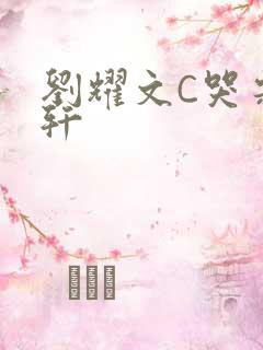 刘耀文C哭宋亚轩