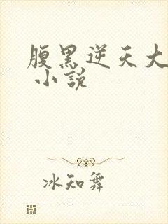 腹黑逆天大小姐 小说