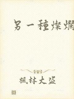 另一种灿烂生活