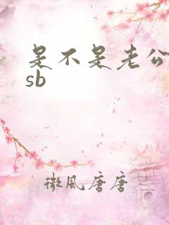 是不是老公的小sb