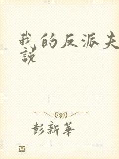 我的反派夫君小说