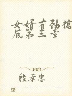 女婿有劲枪枪到底第三章