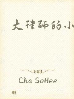 大律师的小老婆