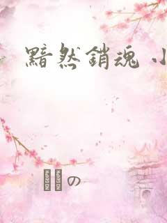 黯然销魂 小说