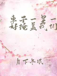 车子一晃一晃正好掩盖我们什么