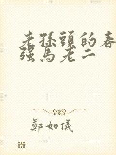 老孙头的春天马强马老二