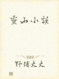 灵山小说