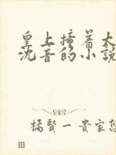 皇上撞着太子妃沈音的小说叫什么