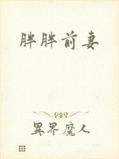 胖胖前妻