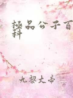 极品公子百度百科