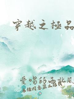 穿越之极品皇帝