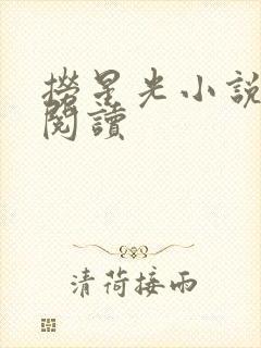 捞星光小说免费阅读