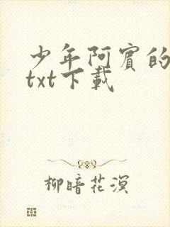 少年阿宾的故事txt下载