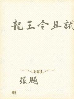 龙王令且试天下