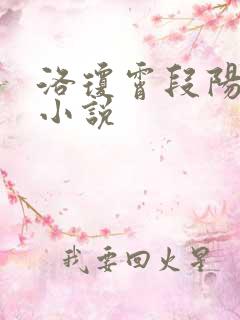 洛琼霄段阳澍的小说