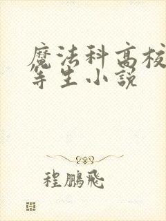 魔法科高校的劣等生小说