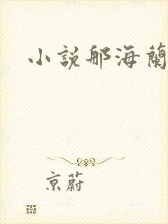 小说那海兰珠