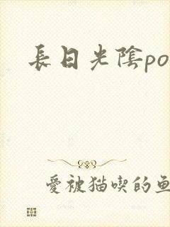 长日光阴po