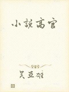 小说高官