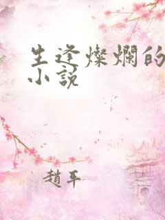 生逢灿烂的日子小说