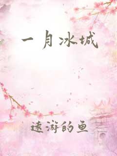 一月冰城
