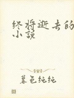 终将逝去的青春小说