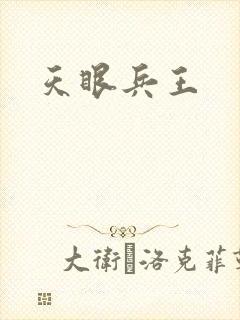 天眼兵王