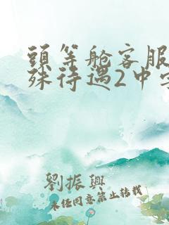 头等舱客服的特殊待遇2中字