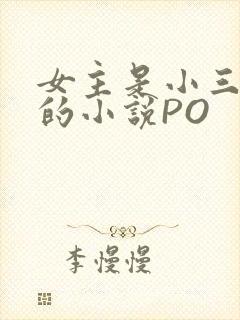 女主是小三很婊的小说PO