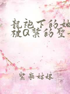 龙袍下的她皇嫂被Q禁的圣女