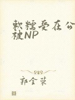 软糯受在公交车被NP