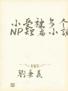小受被多个攻强NP短篇小说