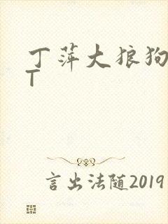 丁萍大狼狗TXT