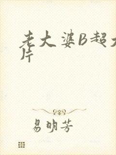 老大婆B超大图片