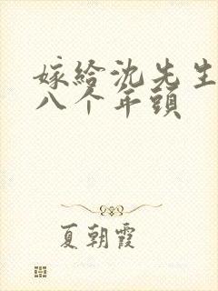 嫁给沈先生的第八个年头