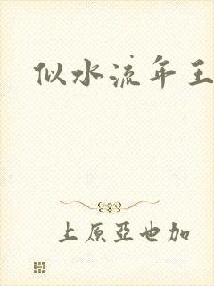 似水流年王小波