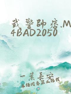 武警帅痞.MP4BAD2050