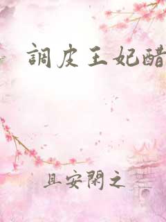 调皮王妃醋王爷