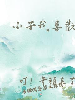 小子我喜欢你