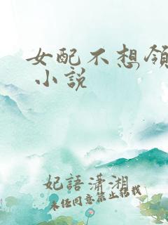 女配不想领便当 小说