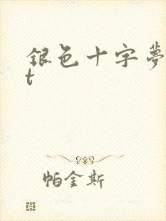 银色十字梦txt