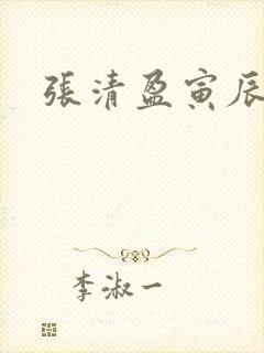 张清盈寅辰小说