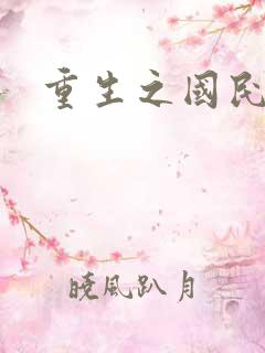 重生之国民老公