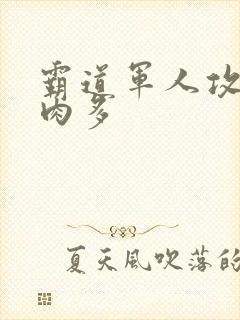 霸道军人攻现代肉多