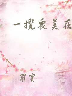 一揽众美在三国