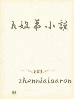 h姐弟小说