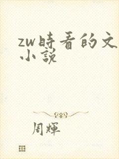zw时看的文案小说